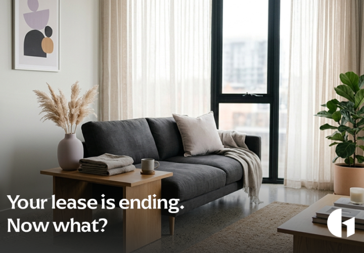 A softly styled Adelaide living room with a charcoal sofa, dried pampas grass in a ceramic vase, and folded linen, set up as a short-term rental ready for guests.